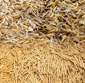 Fabricación de la pelotilla de la cáscara del arroz